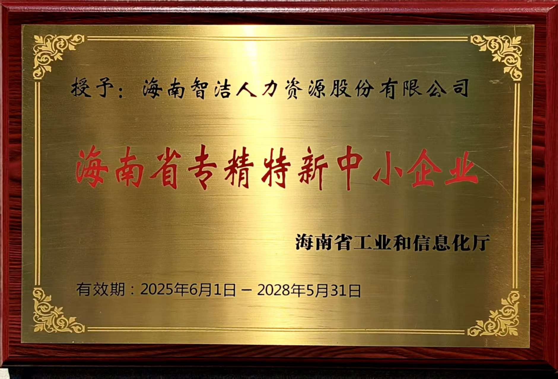 海南省专精特新中小企业原件