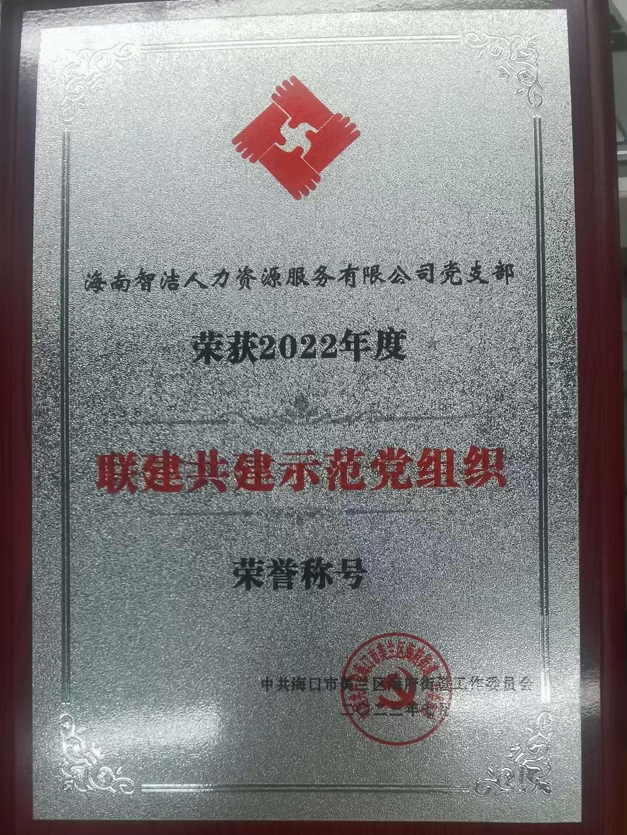 联建共建示范党组织原件