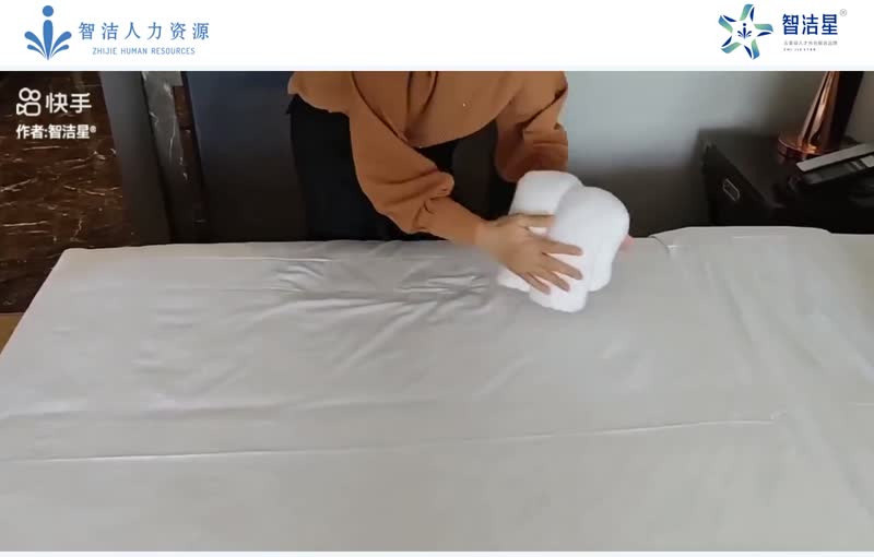 毛巾造型 · 小象教学视频画面